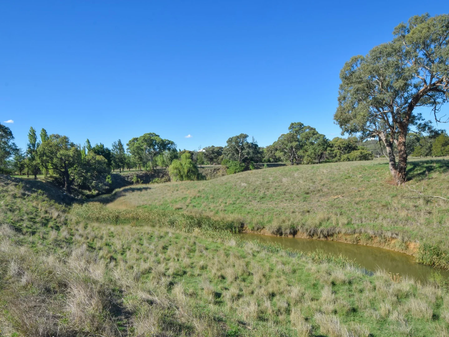 Additional image 21 of 65 Maimuru Rd, Maimuru NSW 2594