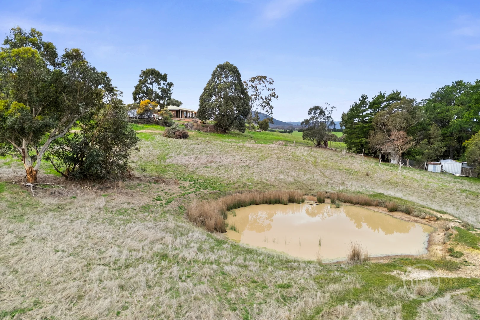 Image 15