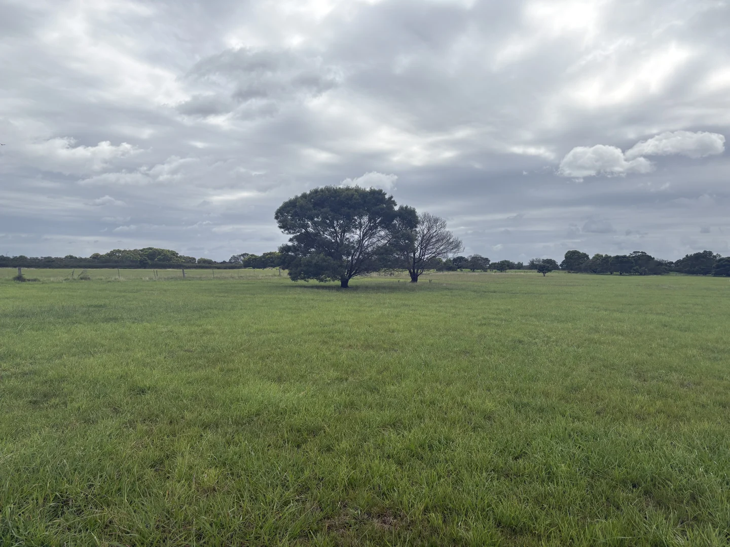 Image 15