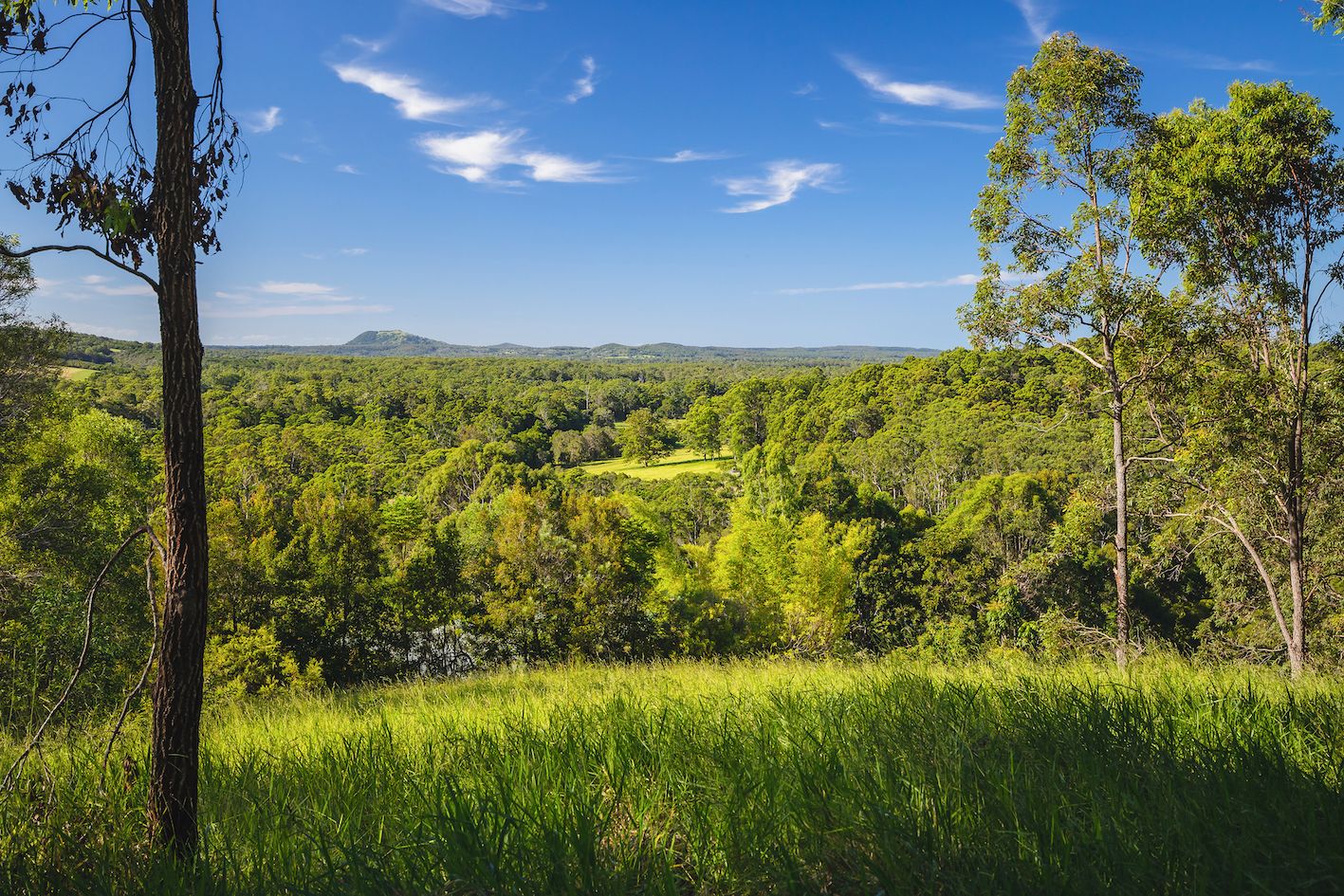 Lot 7 Davis Road, Cootharaba QLD 4565, Image 1