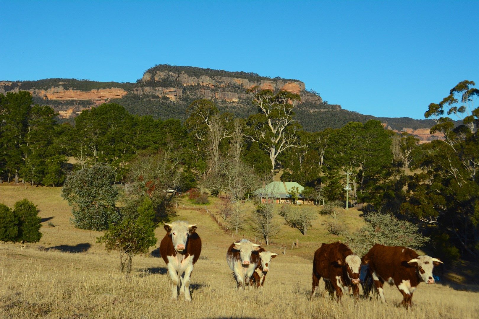 23 Pinnacle Road, Megalong Valley NSW 2785, Image 0