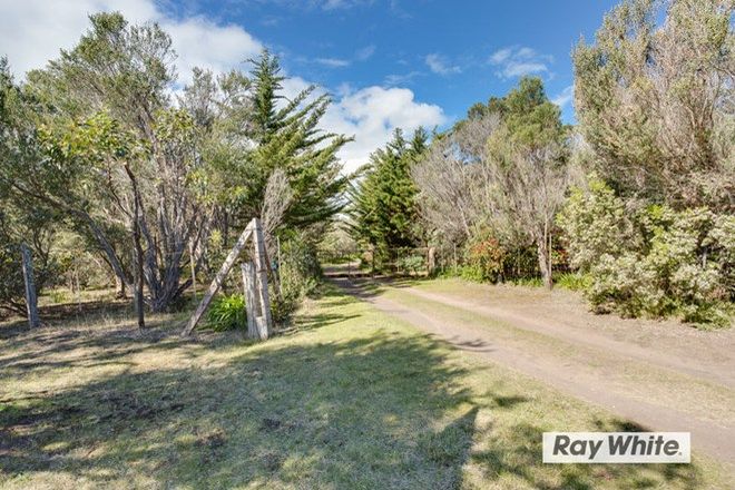 Picture of 203 Devonport Drive, FINGAL VIC 3939