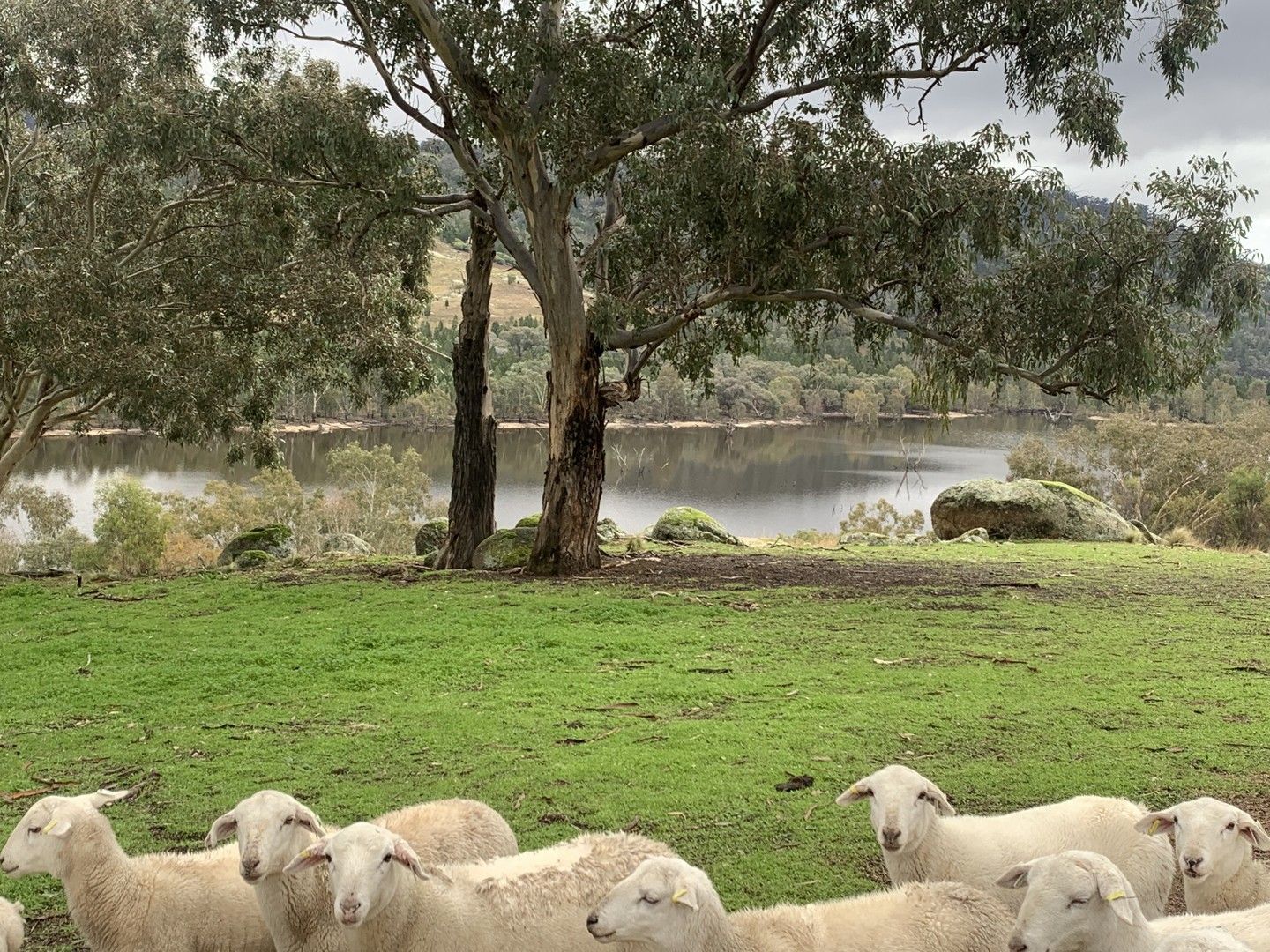 Lot 31, Foggs Crossing Road (Bigga), Cowra NSW 2794, Image 0