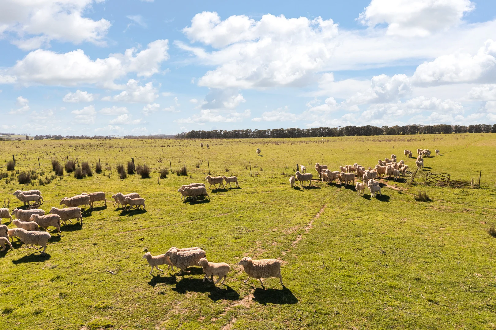 Additional image 13 of Millthorpe NSW 2798