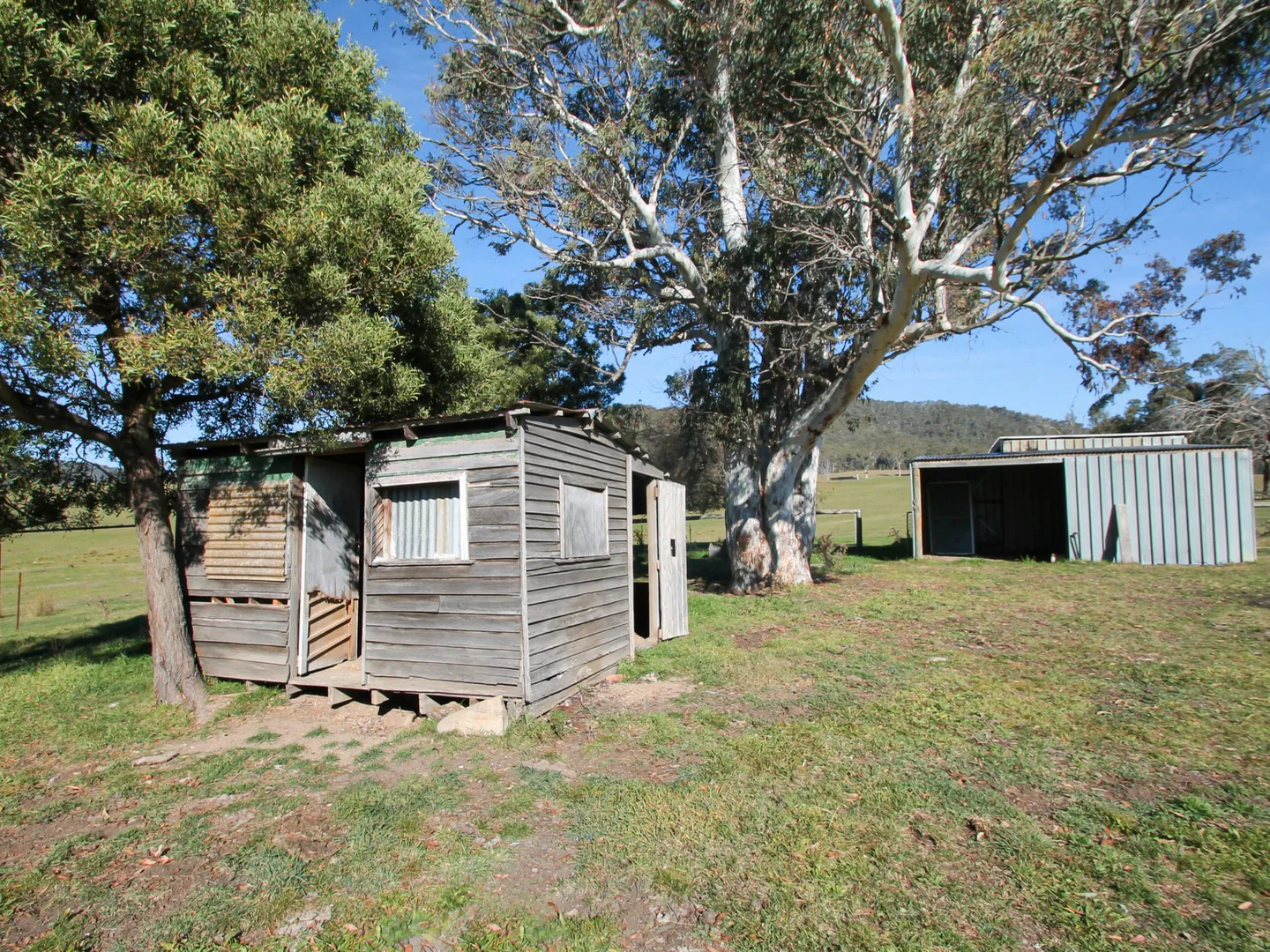 Image 8