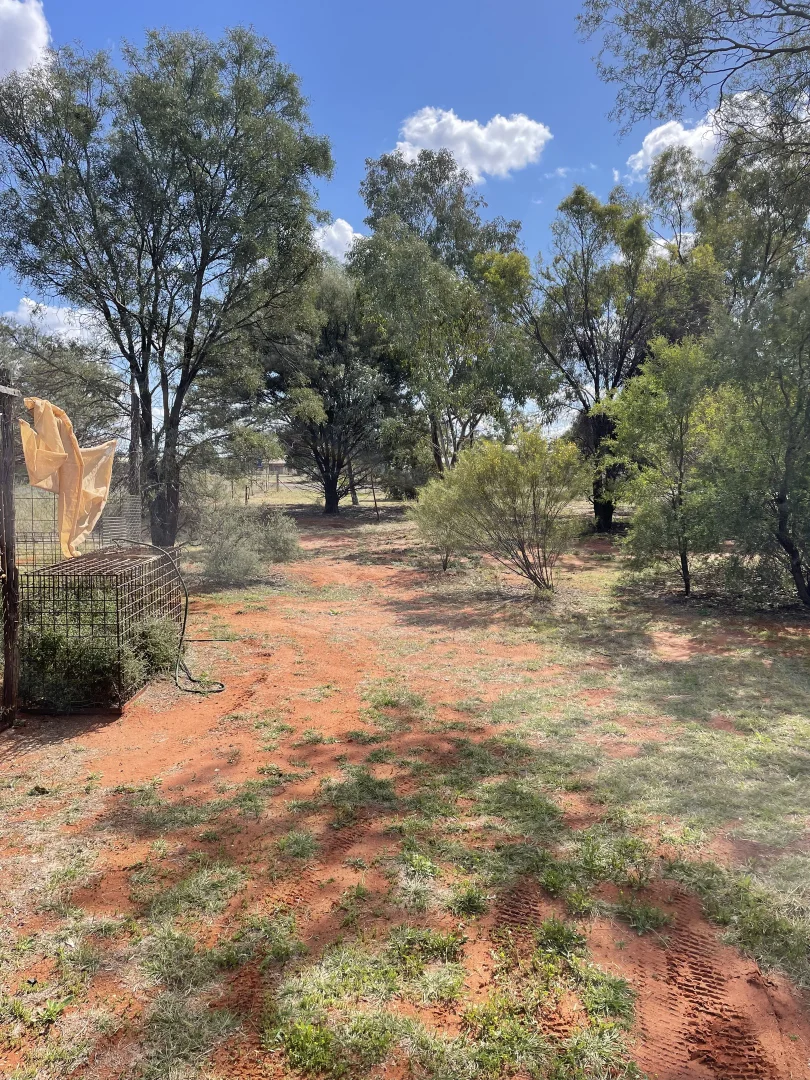 Image 12