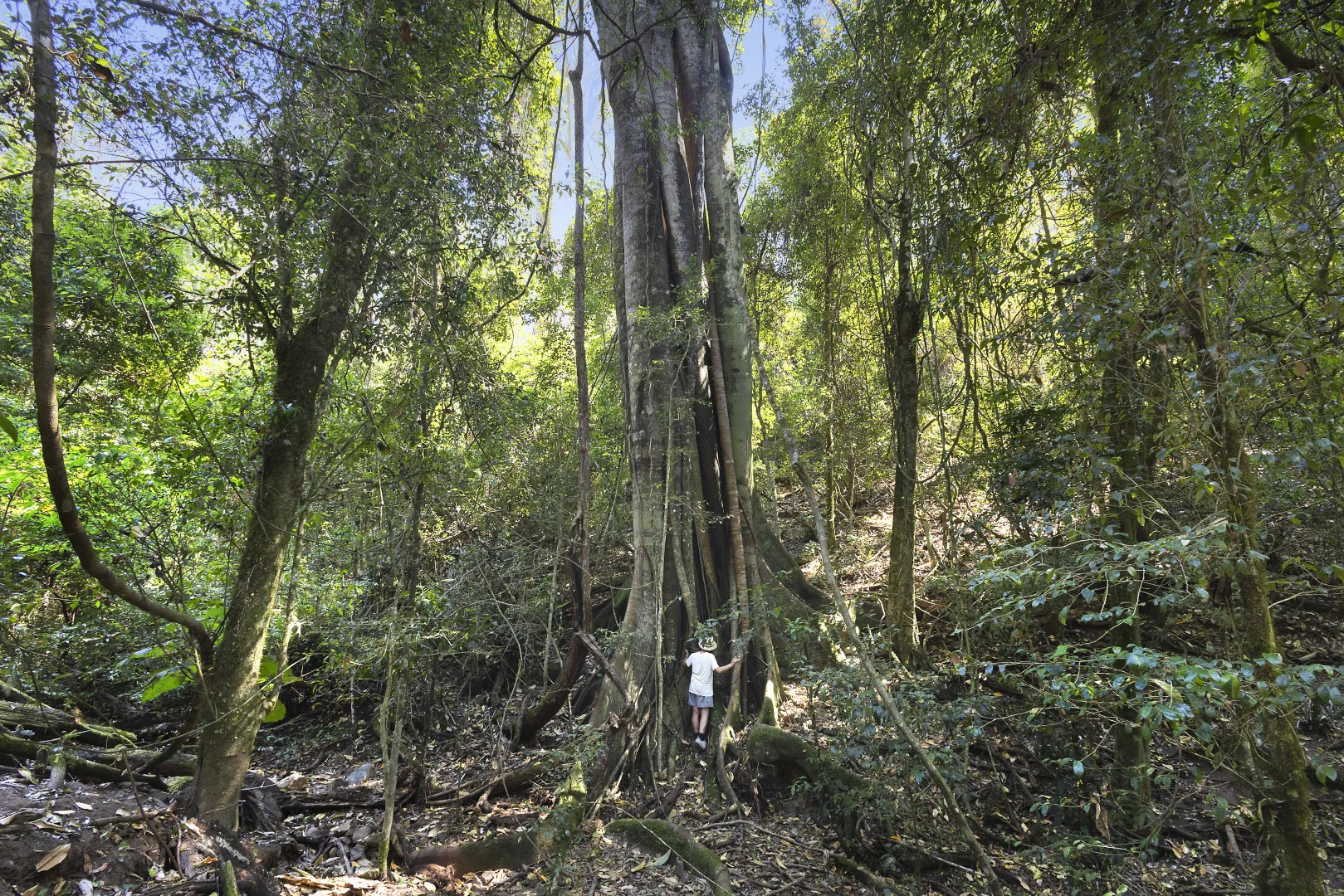 Additional image 19 of 723 Dees Road, Belbora NSW 2422
