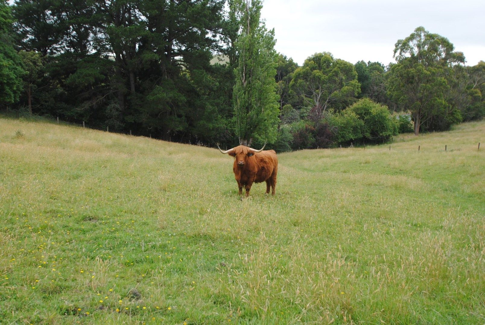 6 MINNS ROAD, Koonwarra VIC 3954, Image 0