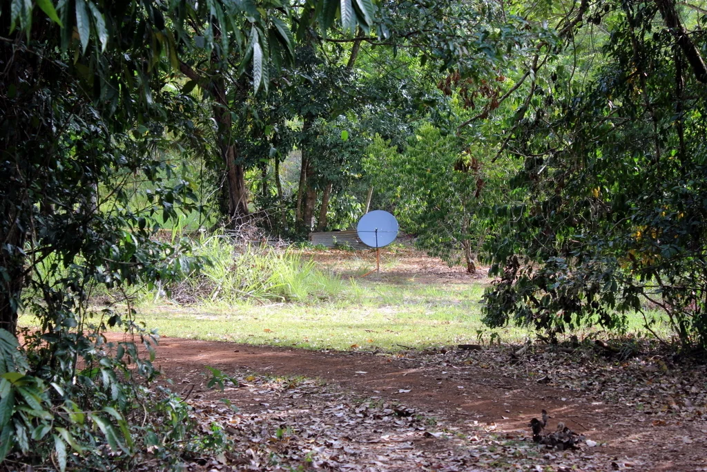 Image 38