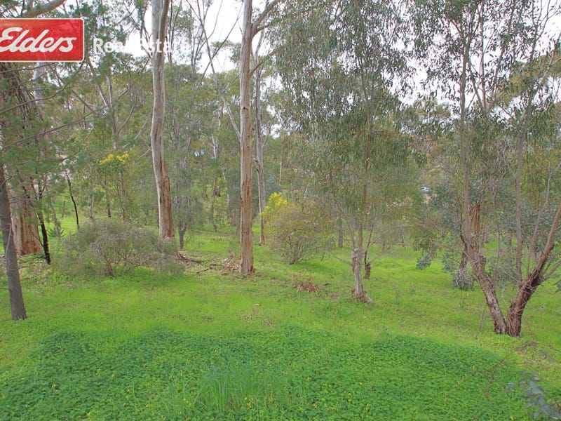 Lot 1 High Street West, Armagh SA 5453, Image 1