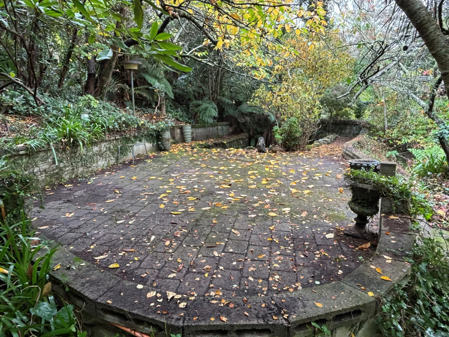 Image 15
