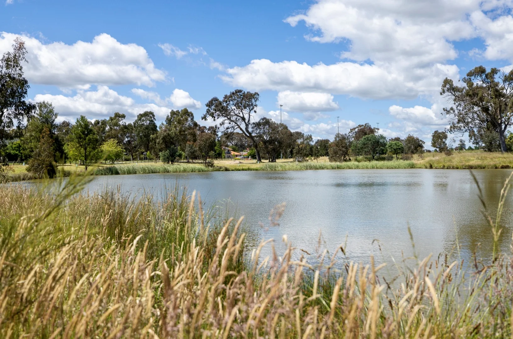 Additional image 22 of 8/42 Adder Street, Harrison ACT 2914