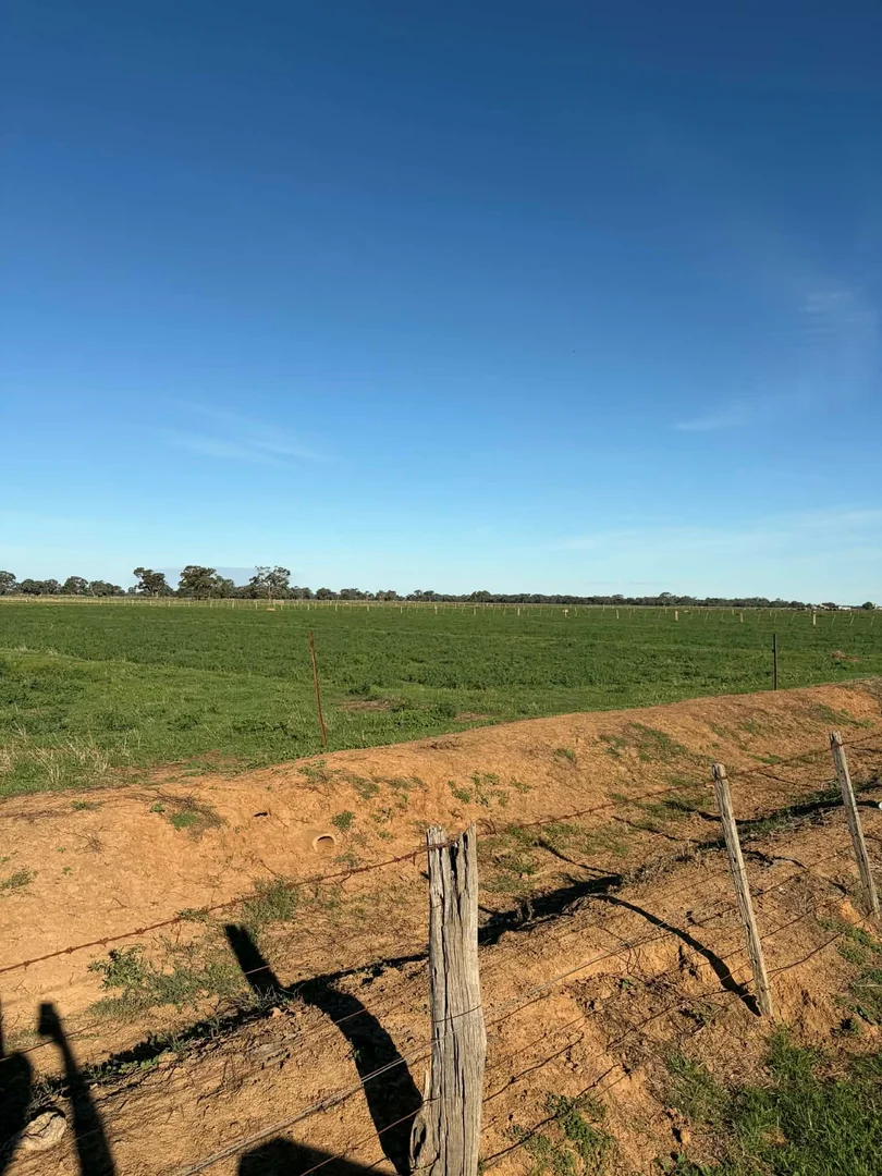 Additional image 20 of 78 Nicholson Lane, Kotta VIC 3565