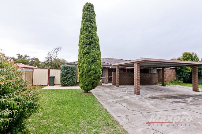 Picture of 9B Hayle Court, WILLETTON WA 6155