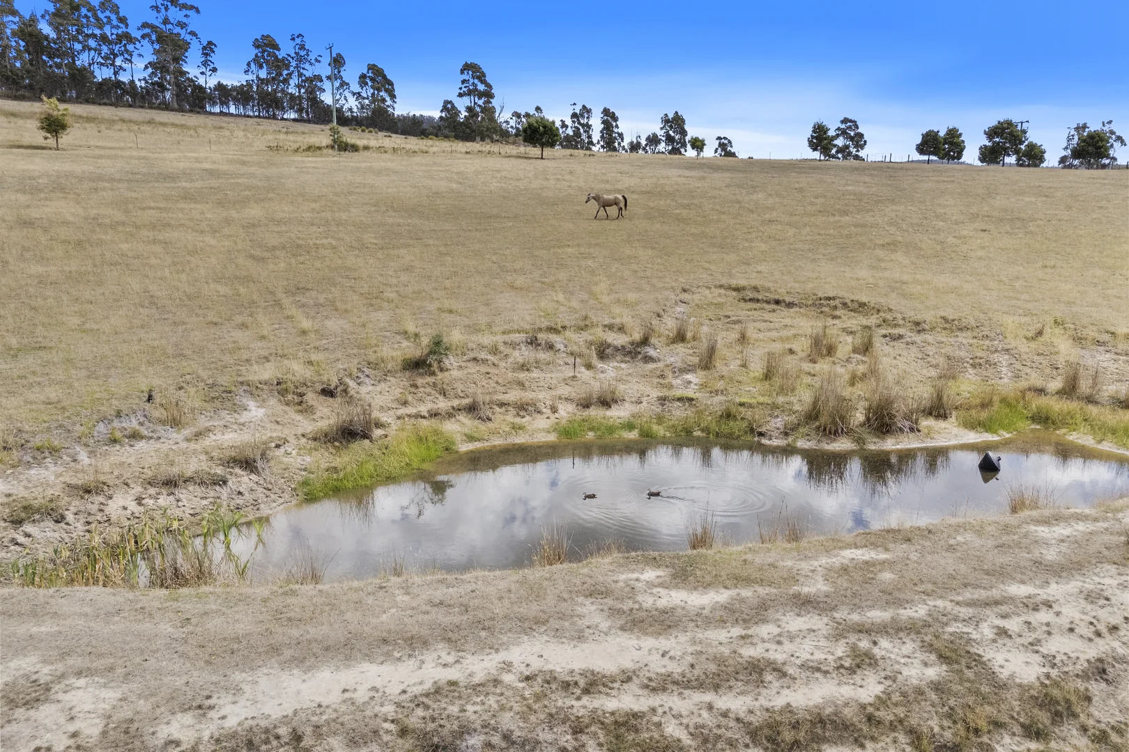 Additional image 53 of 94 Blue Hills Road, Copping TAS 7174