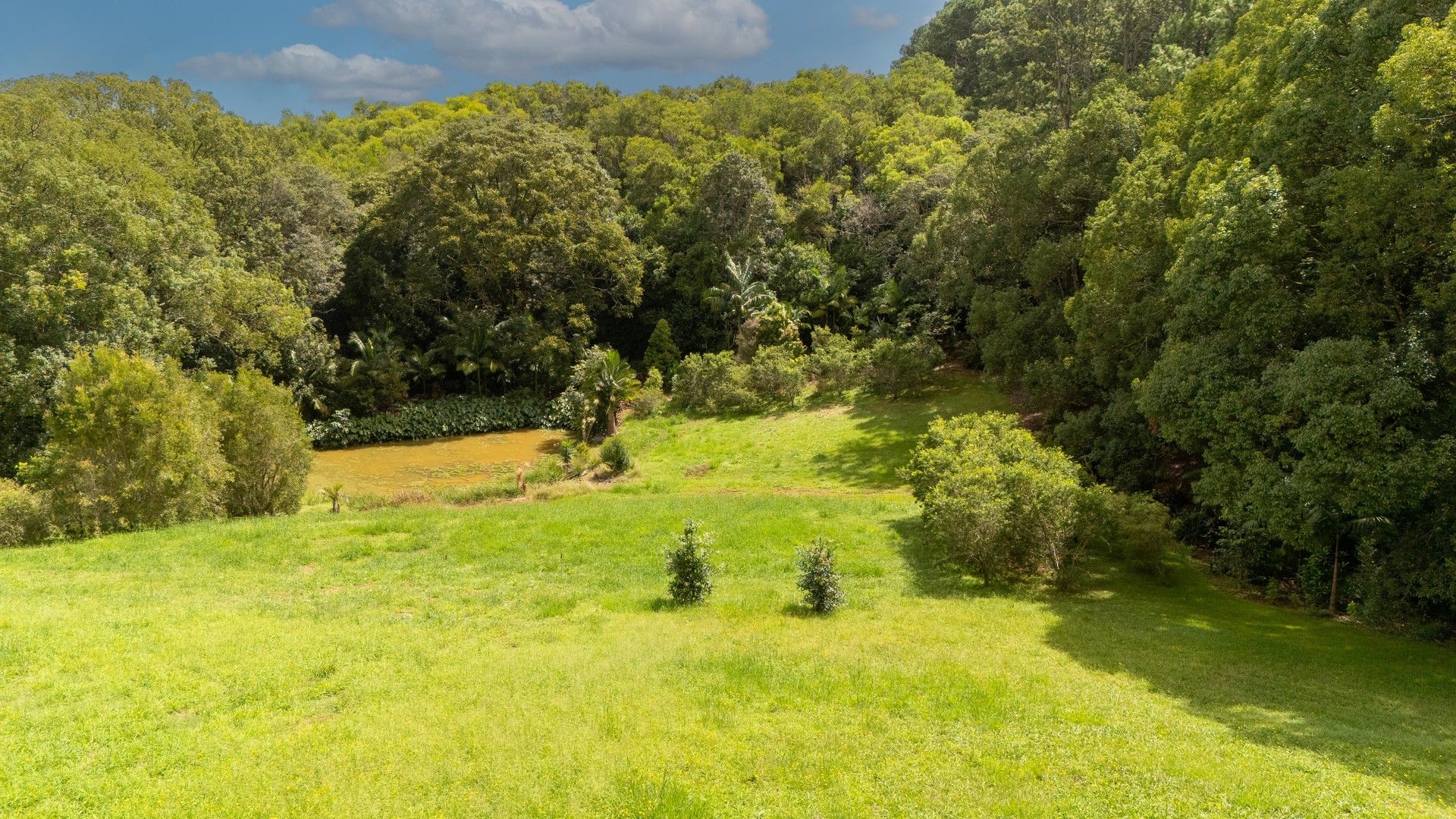 22 Hamptons Place, Montville QLD 4560, Image 0