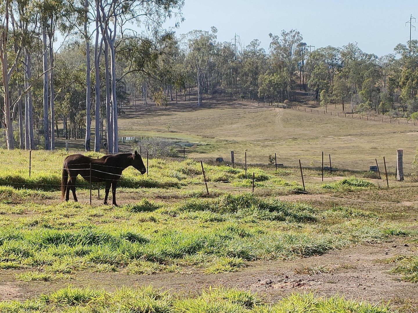 25 Finsens Road, South Kolan QLD 4670 House for Sale 710,000