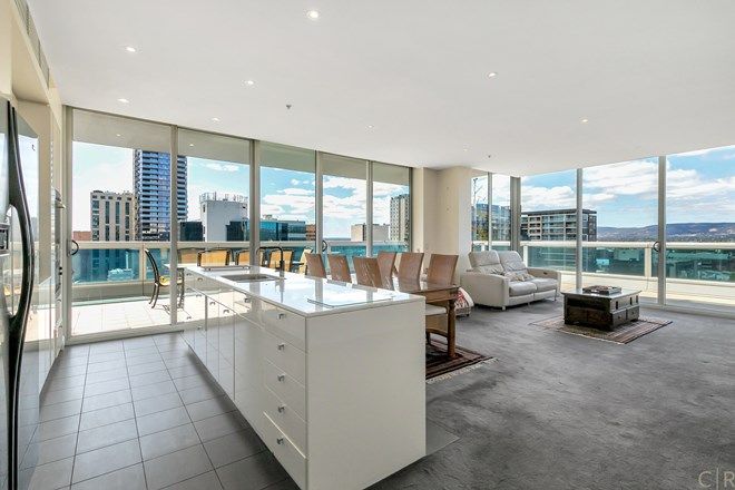559 Rental Properties In Adelaide Sa 5000 Domain