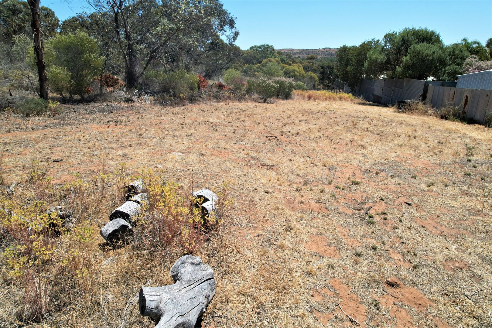 Lot 74 Perseverance Court, Younghusband SA 5238, Image 2