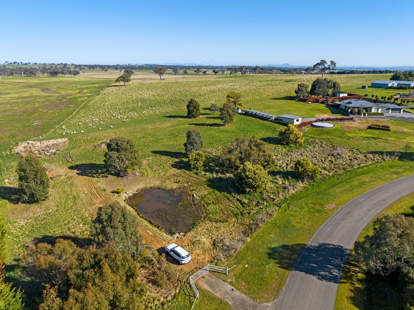 1 Murray Grey Place, Murrumbateman NSW 2582, Image 0