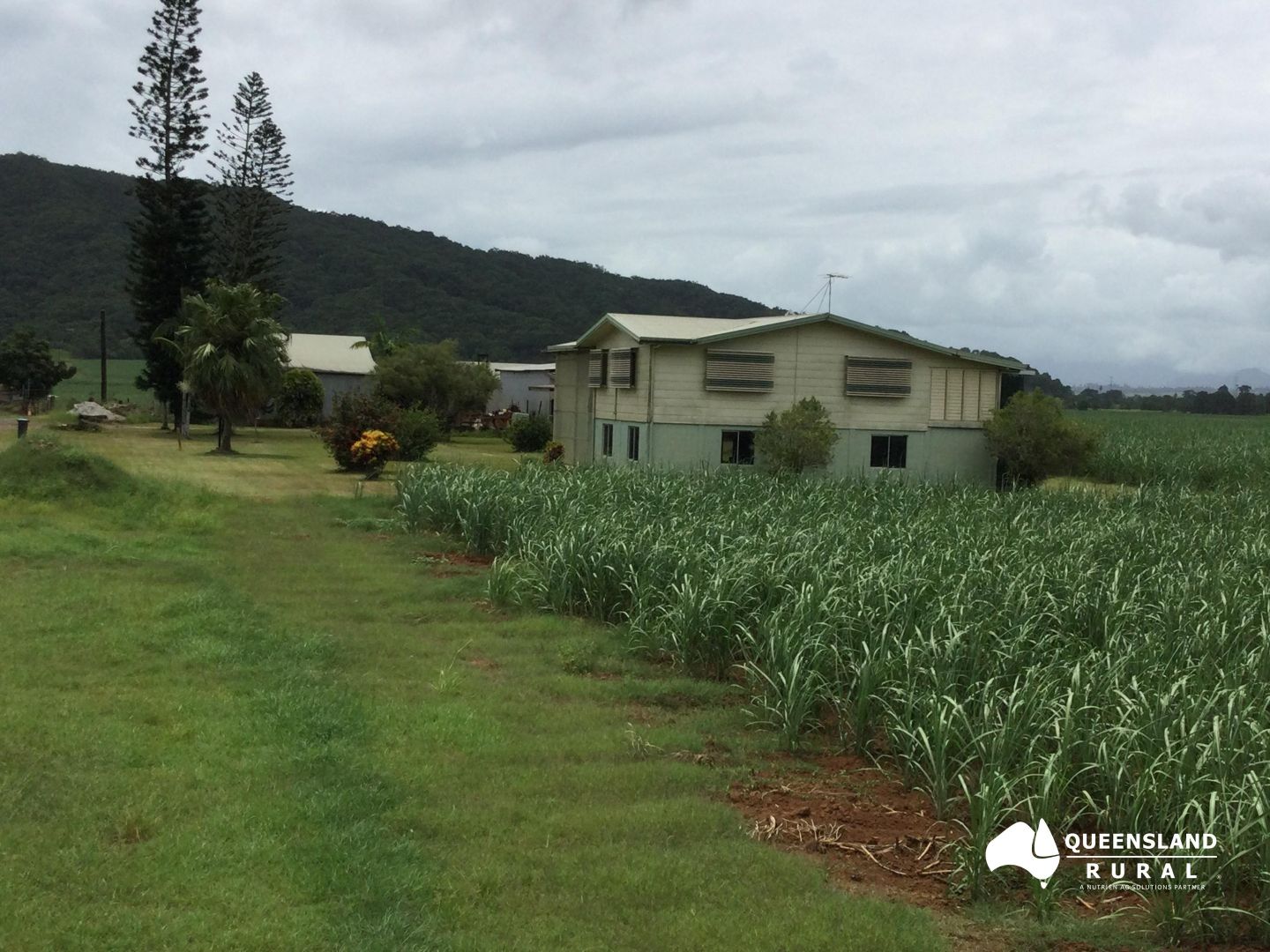 36 Cataldo Road, Boogan QLD 4871 Specialist Farm for Sale 1,600,000