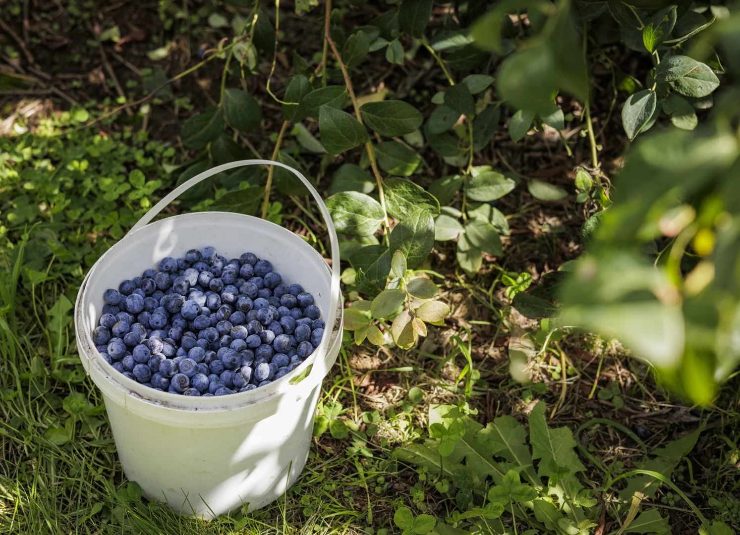 Additional image 14 of 1363 Whittlesea Yea Road, Kinglake West VIC 3757