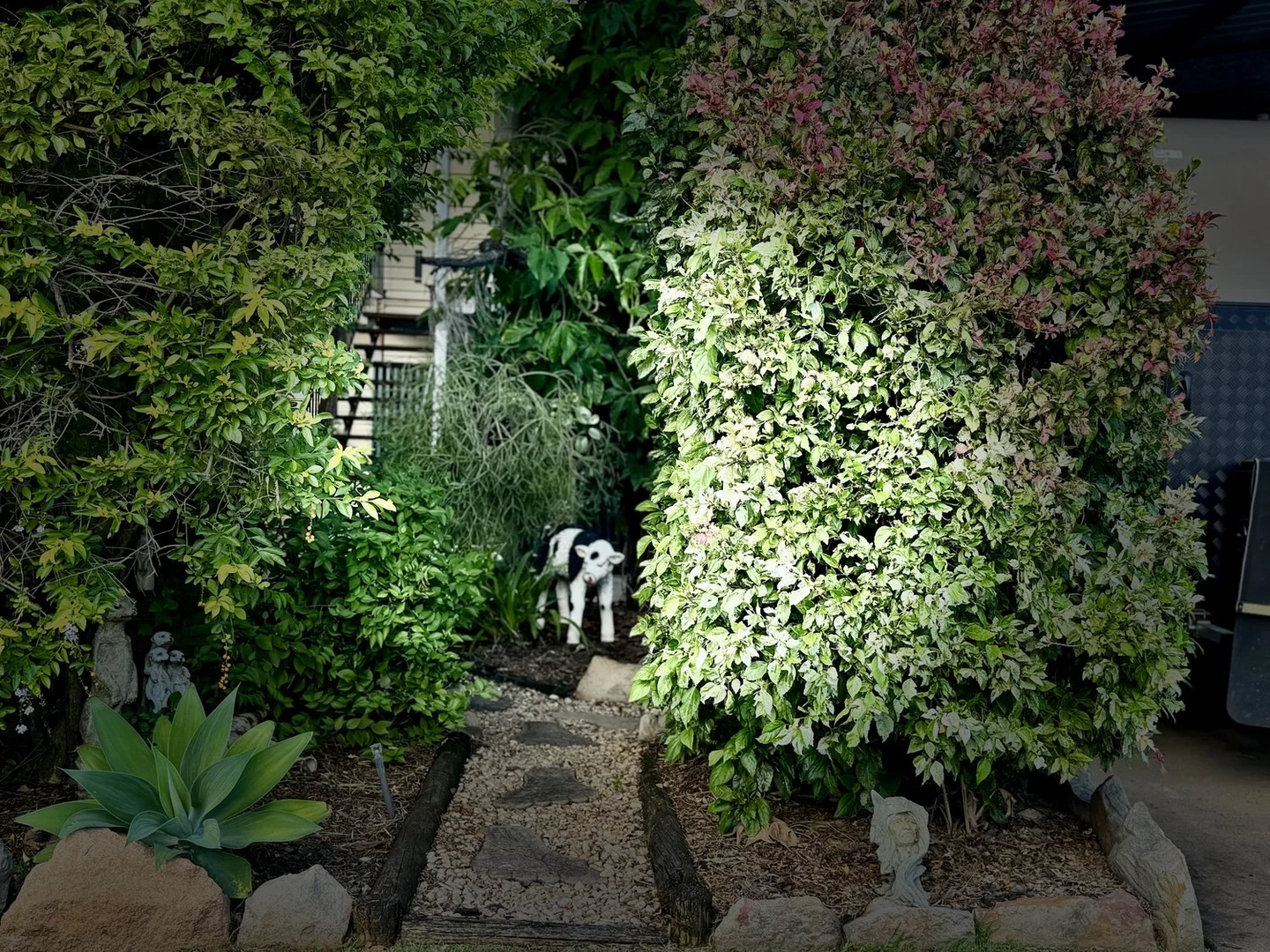 Image 23