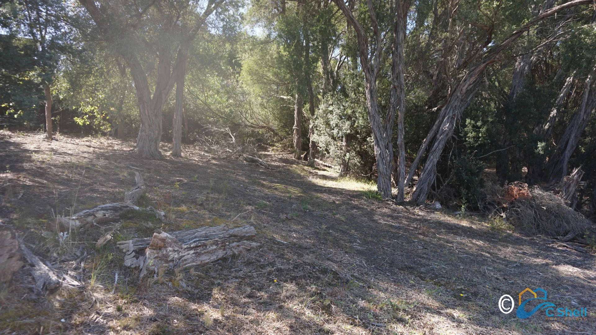 Image 10