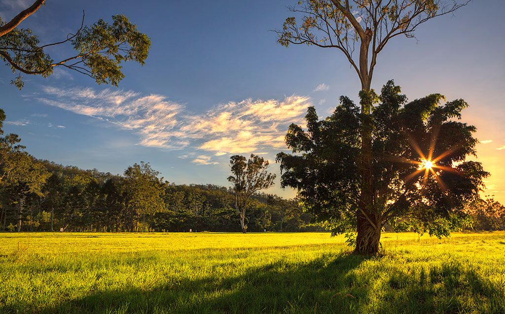 Carrington QLD 4883, Image 0