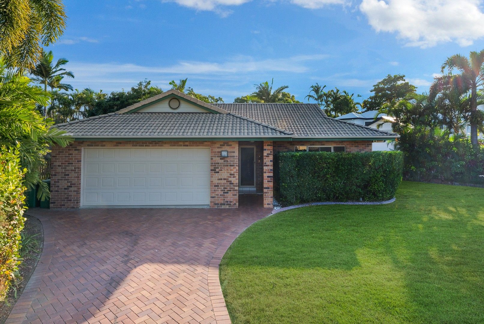 3 Pajingo Court, Annandale QLD 4814, Image 0