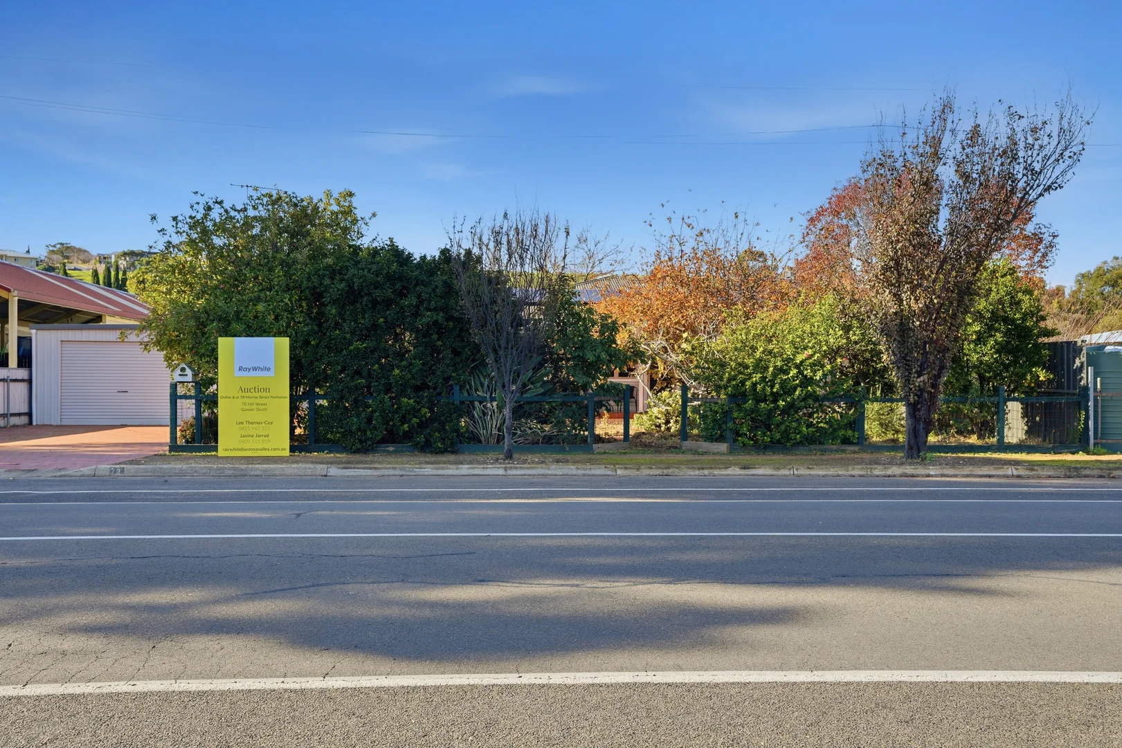 Image 4