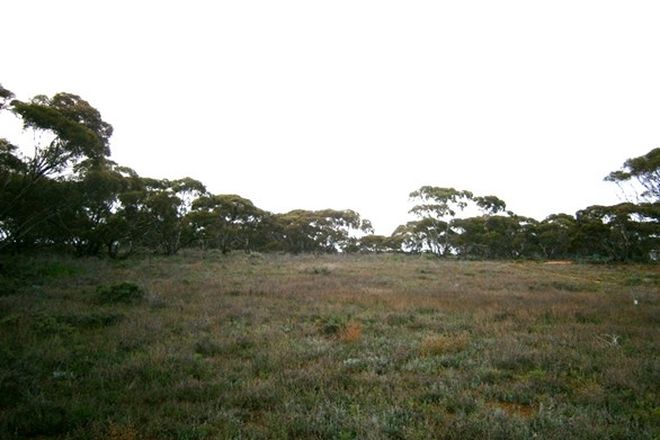 Picture of Lot 1 Morgan Road, OVERLAND CORNER SA 5330