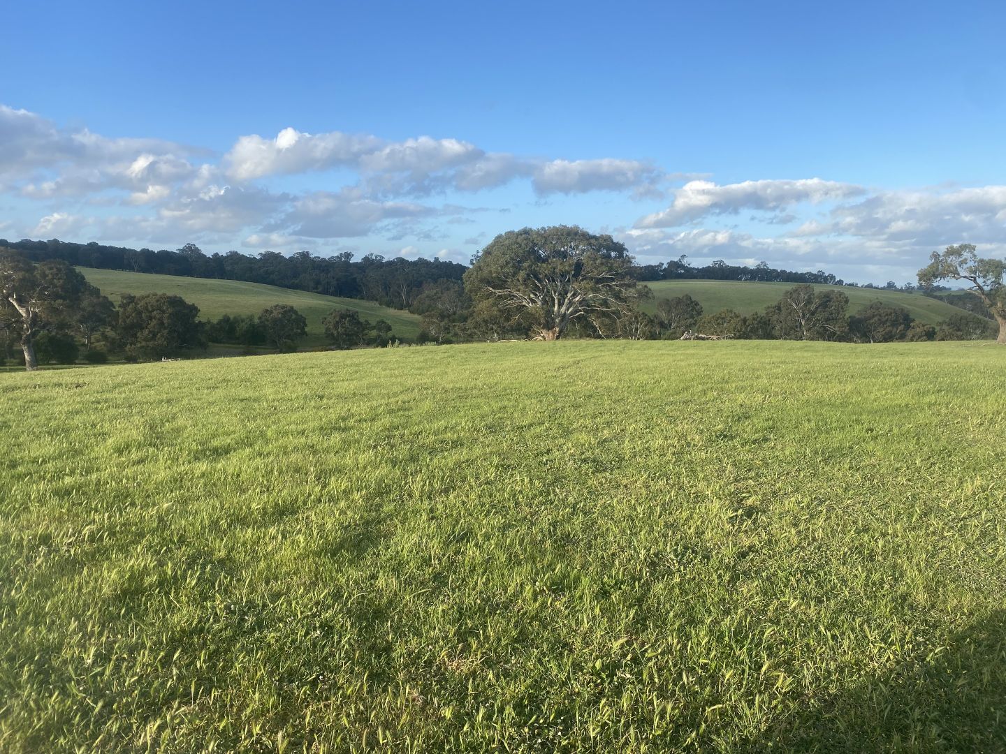 503 Camerons Road, Pigeon Ponds VIC 3407 Vacant Land for Sale