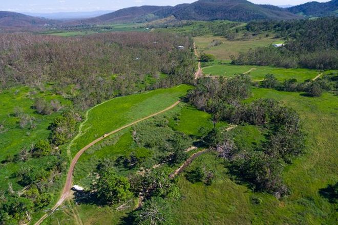 Picture of Lot 197 Monaghan Road, PALM GROVE QLD 4800