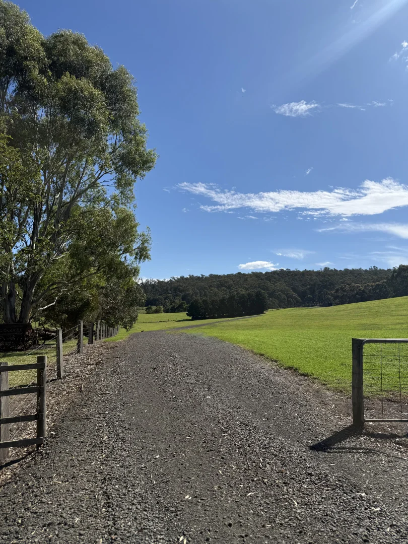 Additional image 8 of 54 Hilsley Court, Toongabbie VIC 3856