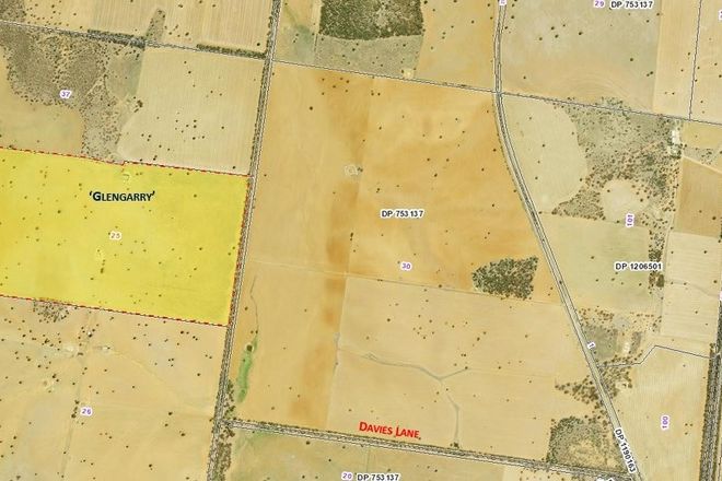 Picture of 538 Davies Lane, WEST WYALONG NSW 2671