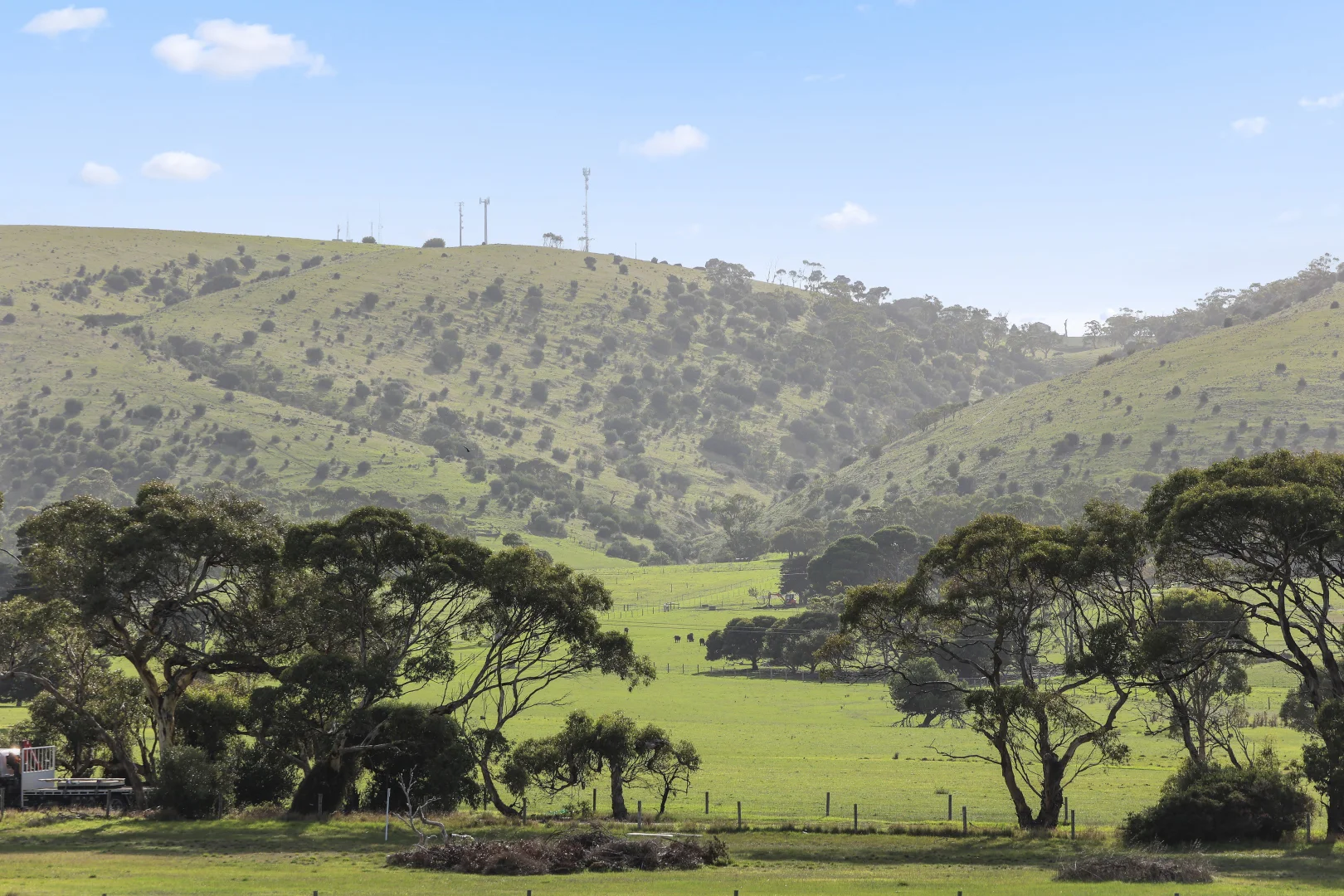 Image 15