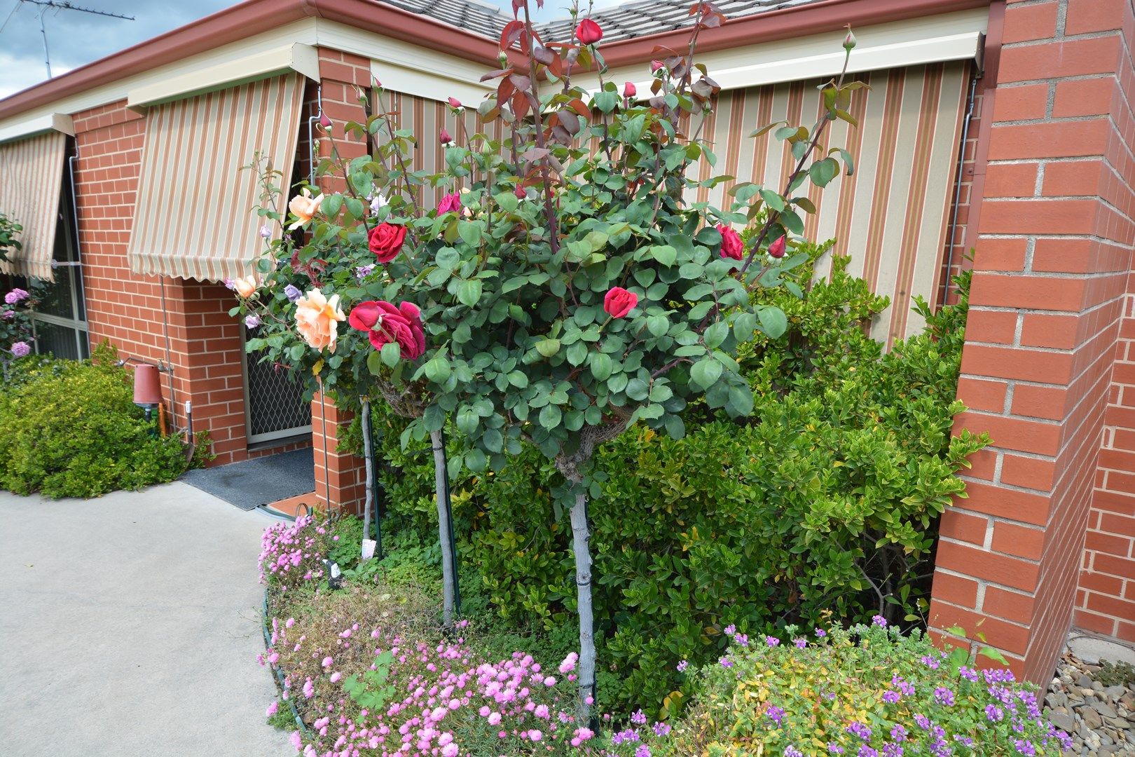 214D Beechworth Road, Wodonga VIC 3690, Image 0