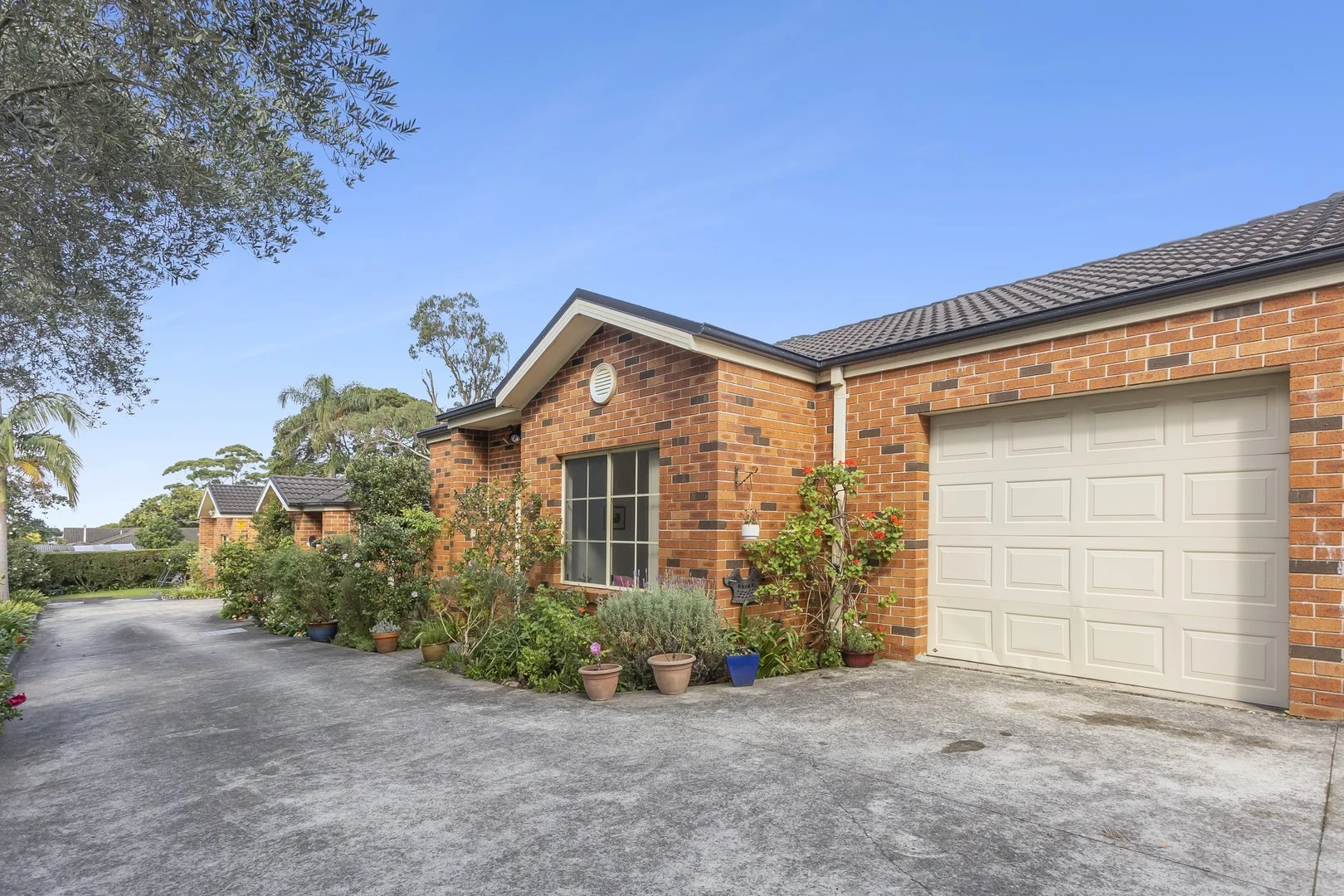 5/27-29 Cannons Parade, Forestville NSW 2087