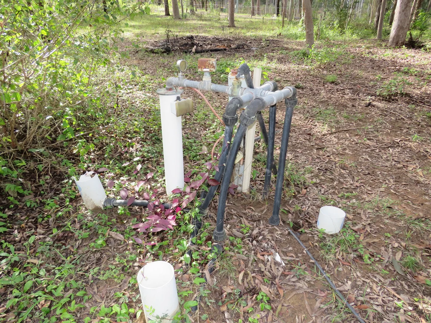 Image 12