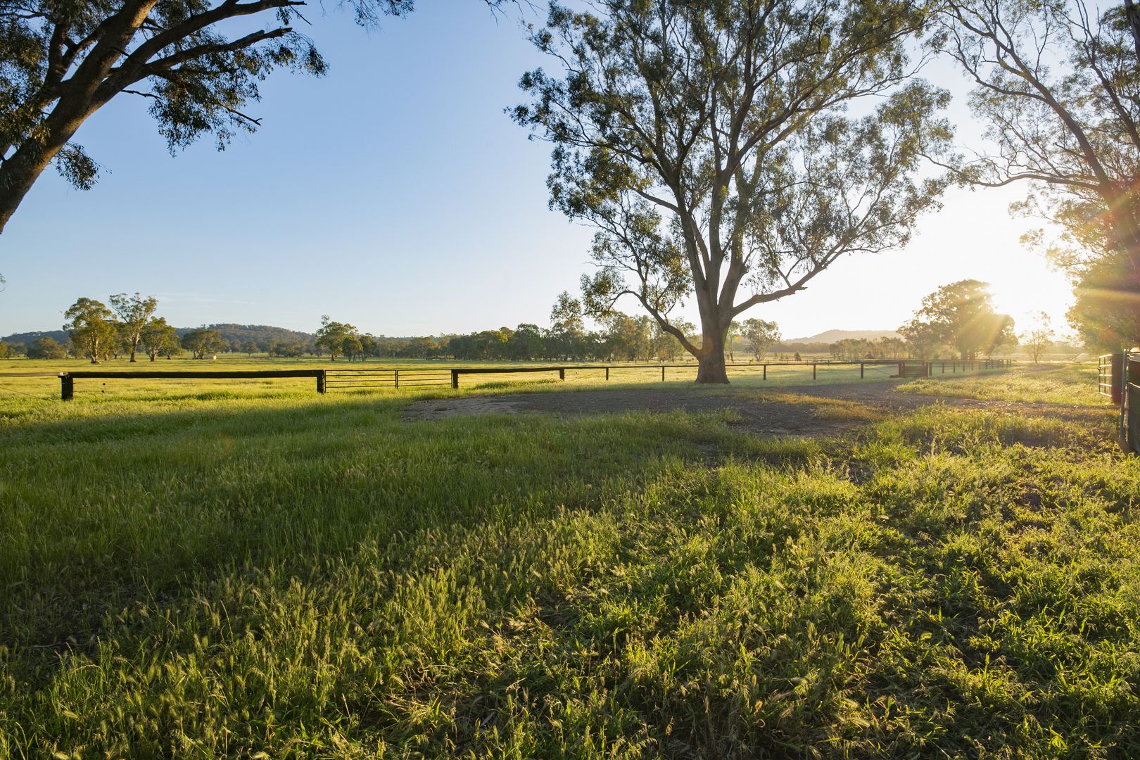 80 Millards Lane, Euroa VIC 3666, Image 2