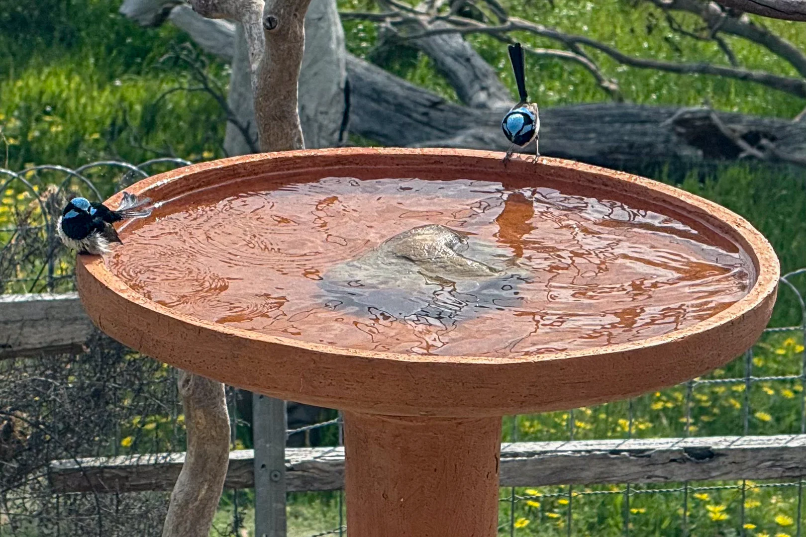 Additional image 33 of 113 Maple Lane, Hay Flat SA 5204