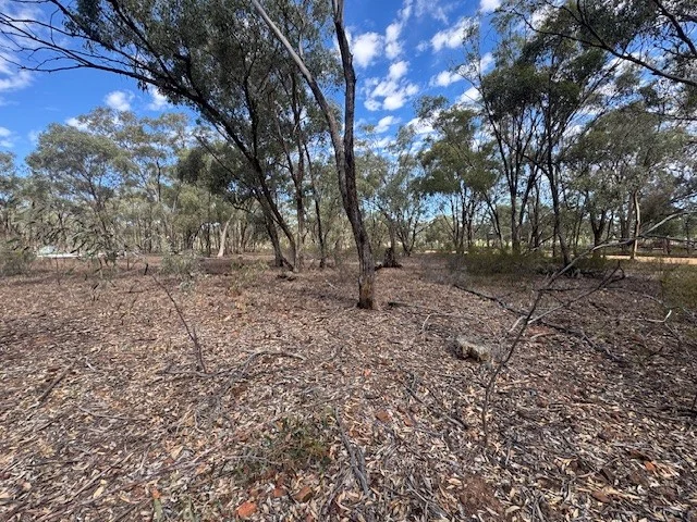 Image 9