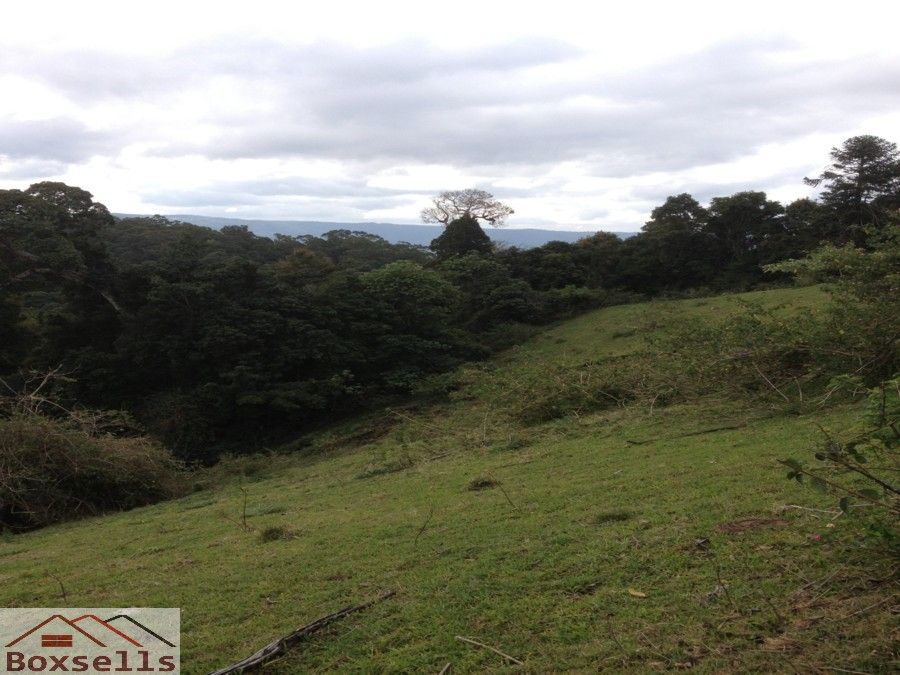 Lot 204 Browns Road, Maleny QLD 4552, Image 1