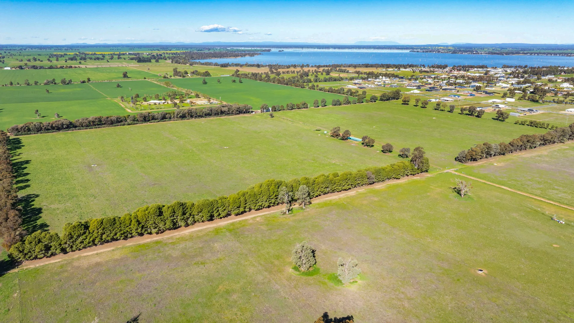 Additional image 7 of 290 Savernake Road, Mulwala NSW 2647