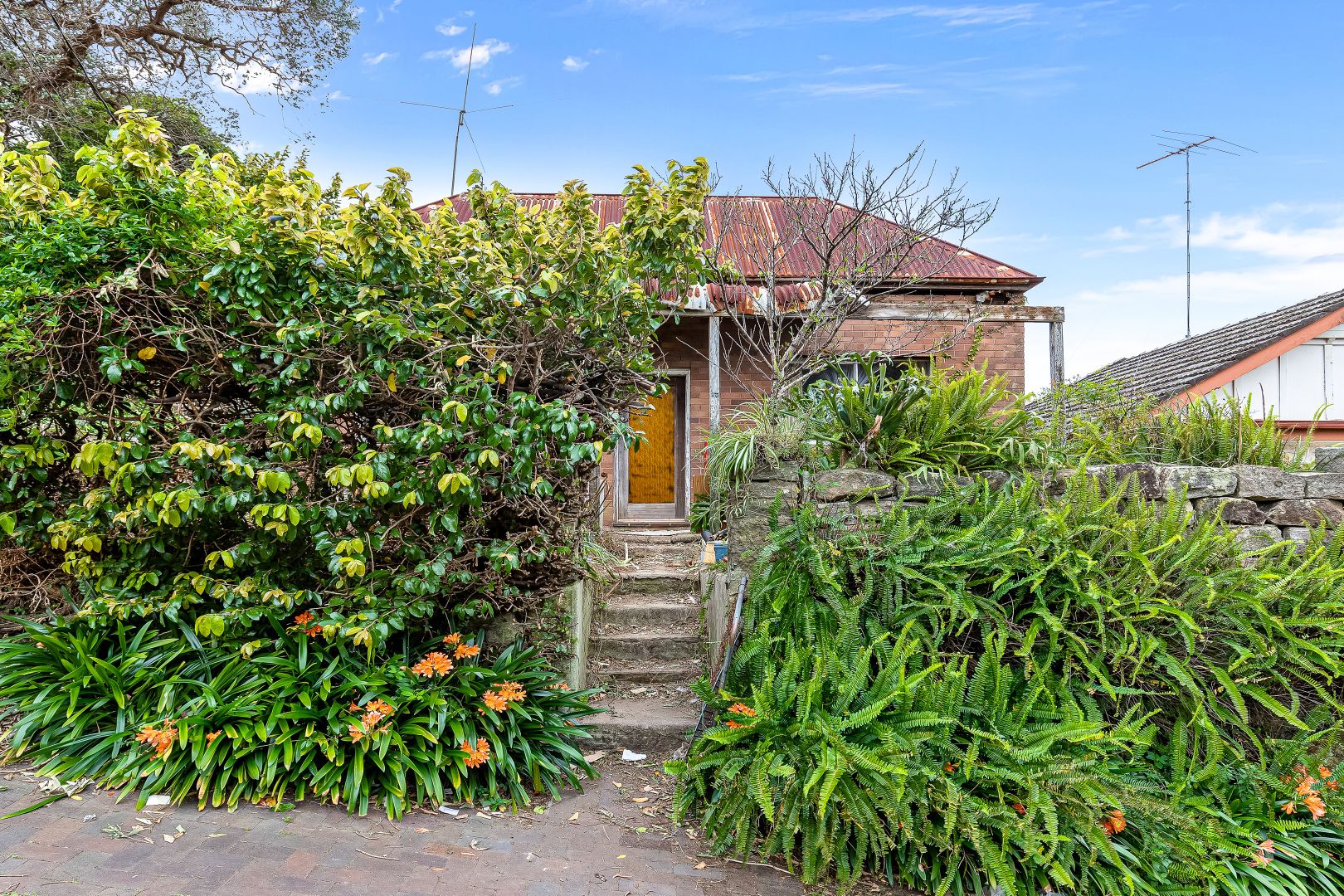 13 Wallace Street, Marrickville Property History & Address Research Domain