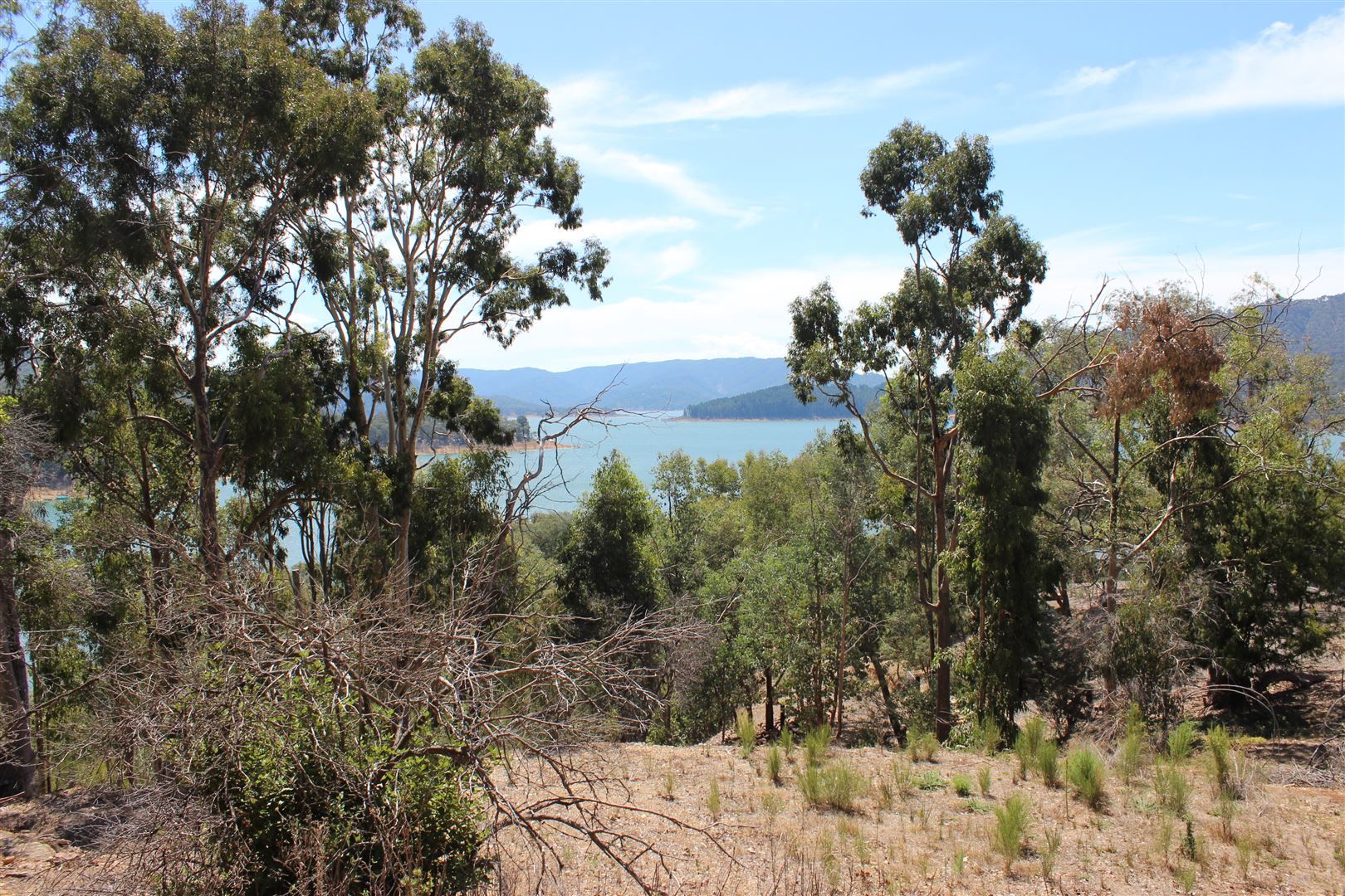 Lot 34/411 Taylor Bay Right Arm Road, Taylor Bay VIC 3713, Image 1