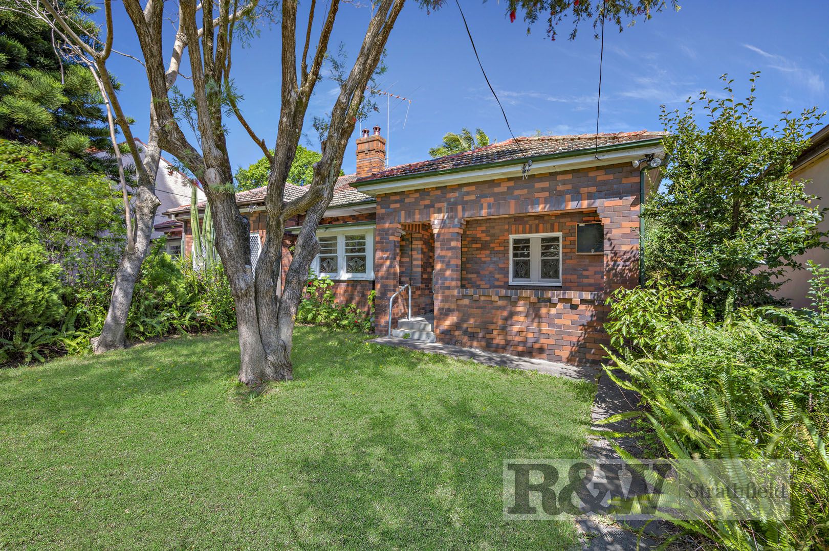 6A Park Avenue, Ashfield NSW 2131, Image 0