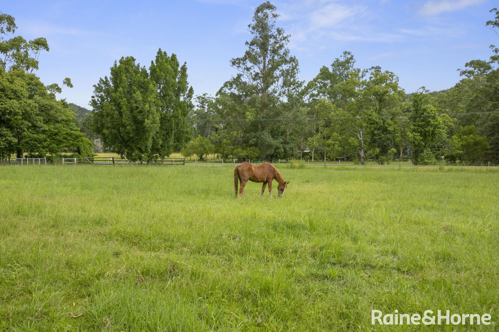 507 Gold Creek Road, Eerwah Vale QLD 4562, Image 2