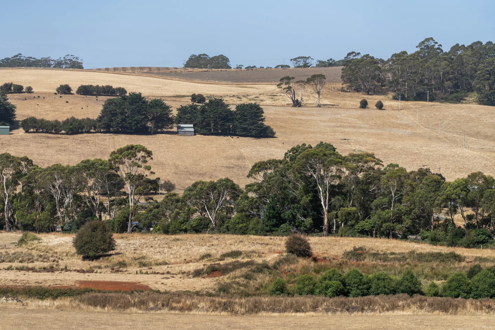 Image 25